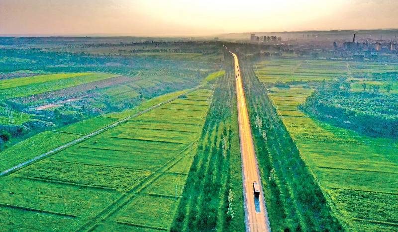 1768374345505678.jpg 1 (1).jpg