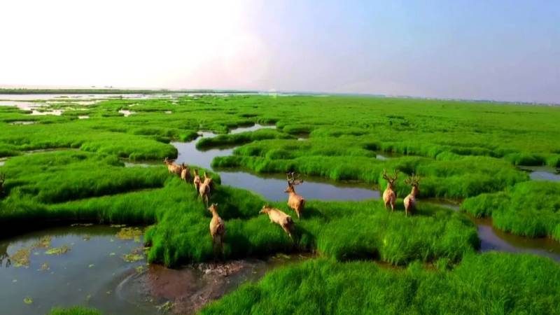 1768375216740232.jpg 8.jpg