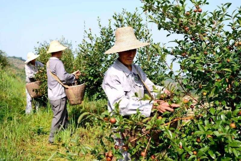 1768375226622418.jpg 9.jpg