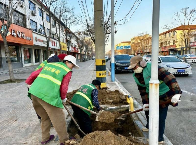 1768375539833336.jpg 1.jpg