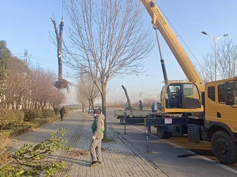 1768375550706417.jpg 2.jpg