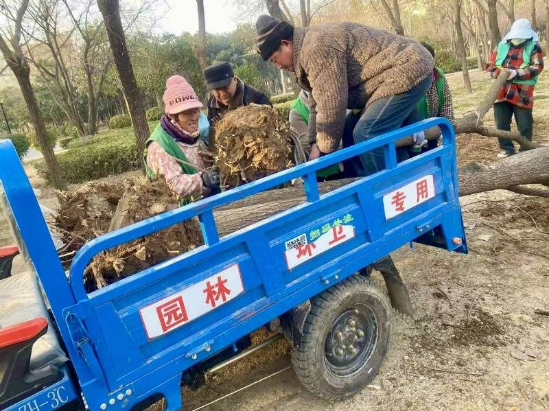 1768375570784835.jpg 4.jpg