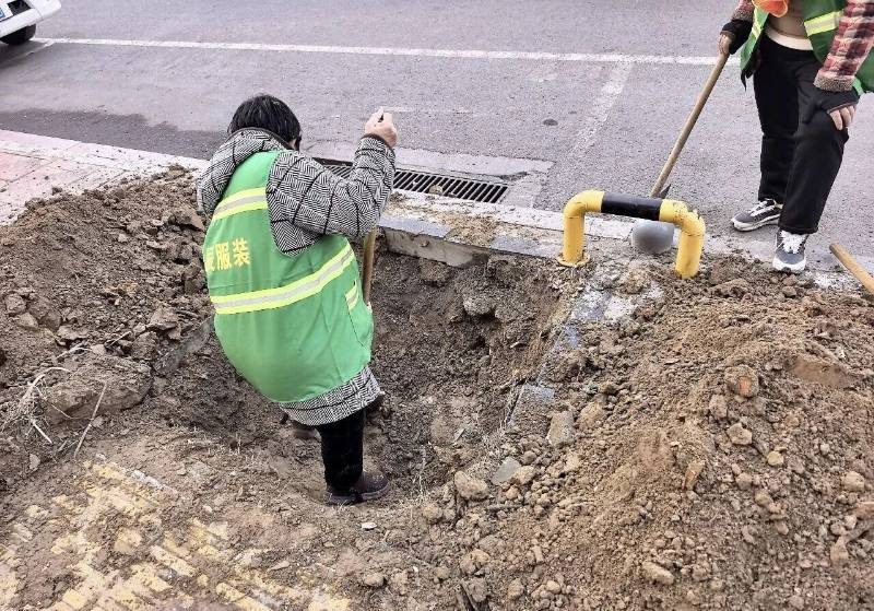 1768375579345375.jpg 5.jpg