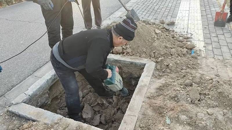 1768375589669029.jpg 6.jpg