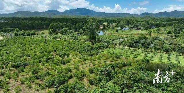 1768375684735162.jpg 8.jpg