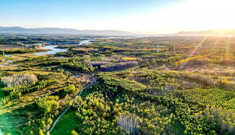 1768466229270570.jpg 1.jpg