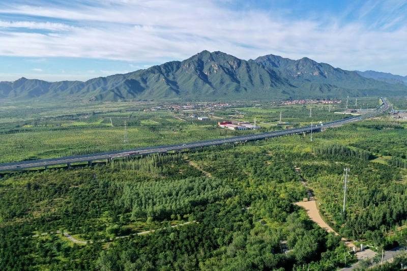 1768466243196204.jpg 2.jpg