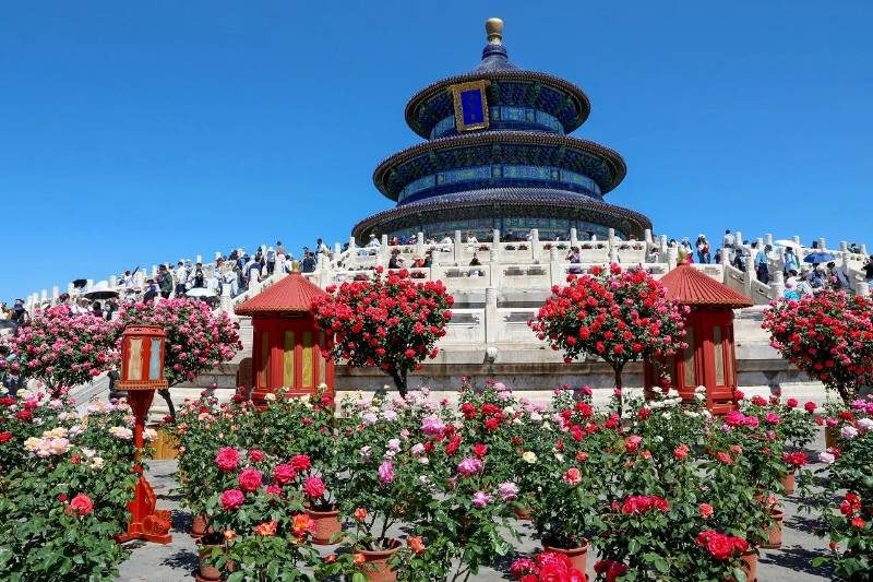 1768466253345230.jpg 3.jpg