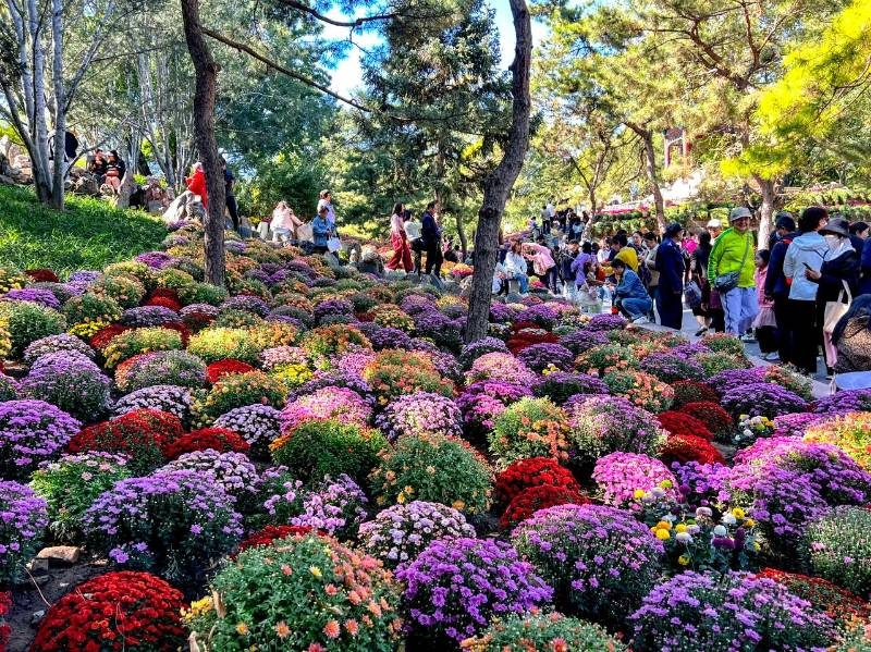 1768466262671186.jpg 4.jpg