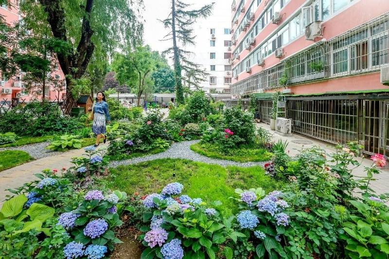 1768466290204830.jpg 6.jpg