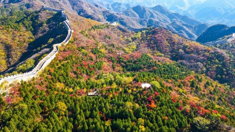 1768466318437389.jpg 7.jpg