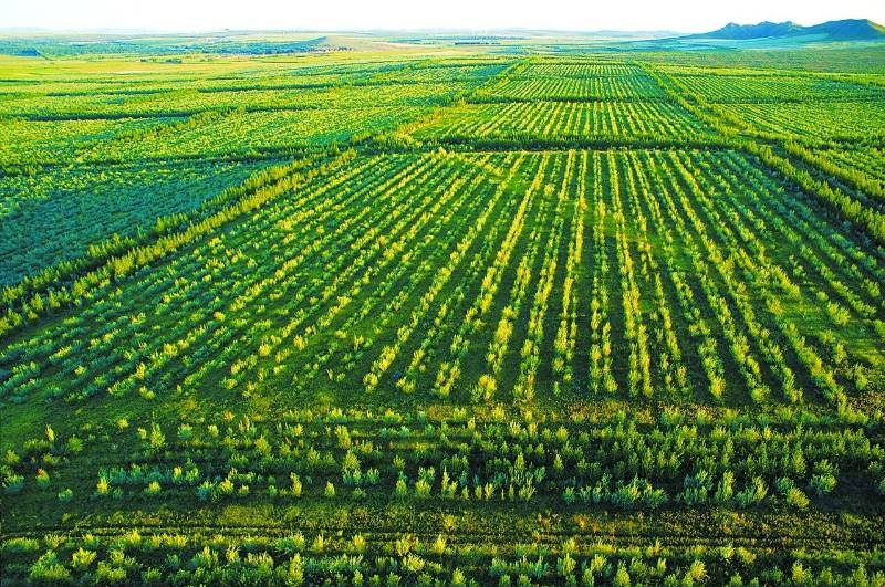 1768466771130688.jpg 13.jpg