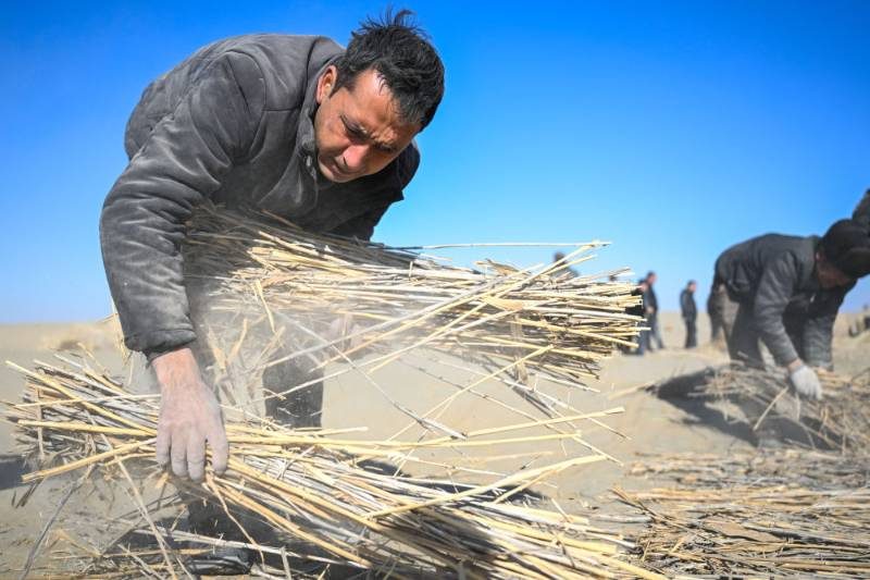 1768467101706069.jpg 2 (1).jpg