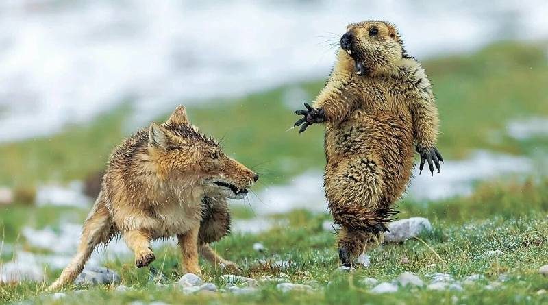 1768468773917591.jpg 19.jpg