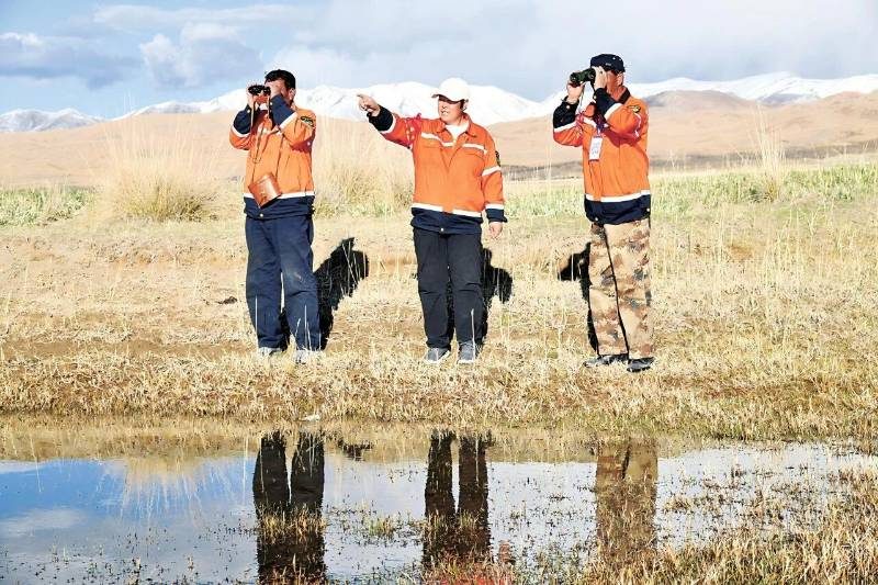 1768468791157142.jpg 18.jpg