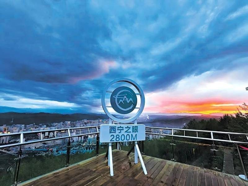 1768468810875833.jpg 17.jpg