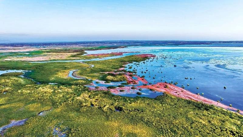 1768468829705124.jpg 16.jpg