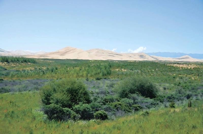 1768468847531959.jpg 15.jpg