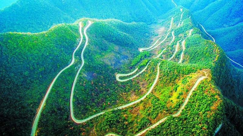 1768469002836444.jpg 20.jpg