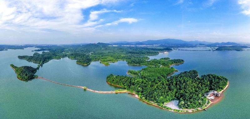 1768469036582696.jpg 21.jpg