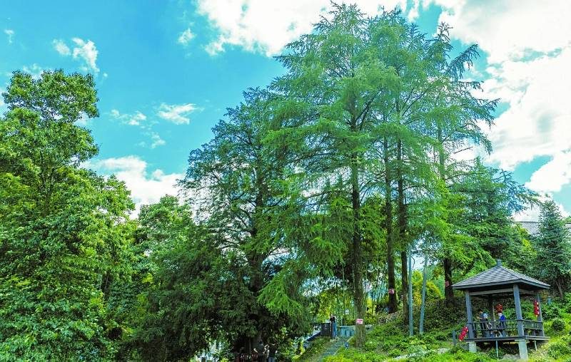 1768469064178579.jpg 22.jpg