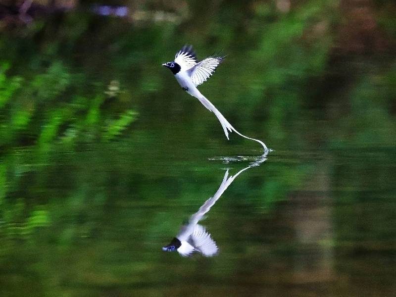 1768469088735244.jpg 23.jpg