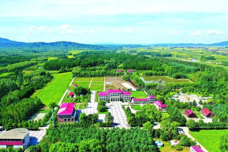 1768524152342032.jpg 21.jpg