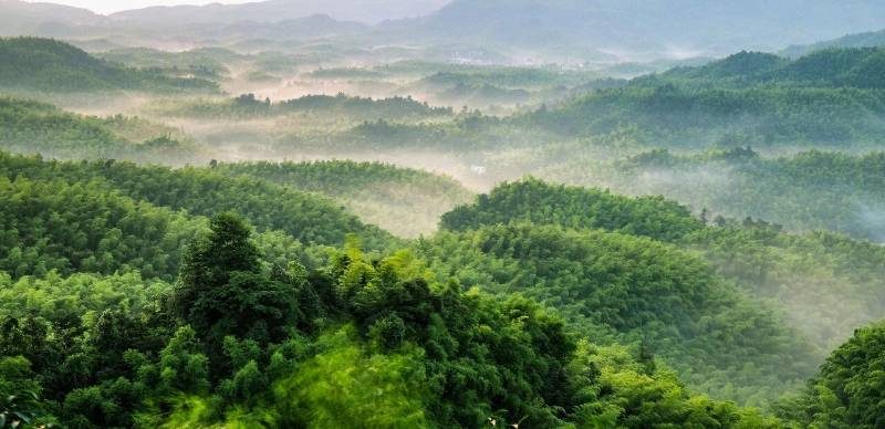 1768529103976983.jpg 24.jpg