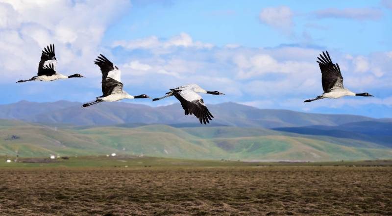 1768529148854410.jpg 25.jpg