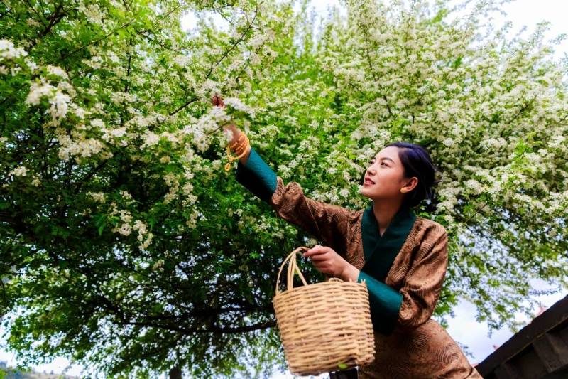 1768529167904699.jpg 26.jpg