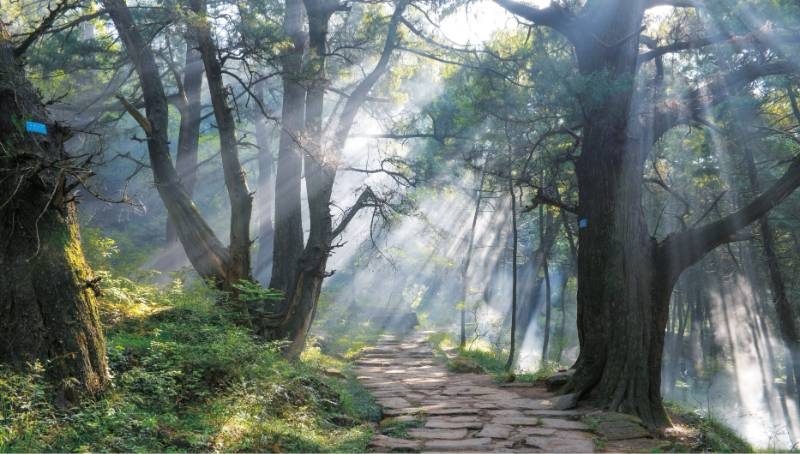 1768529208875817.jpg 28.jpg