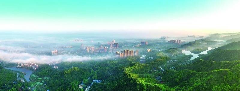 1768529275587874.jpg 31.jpg