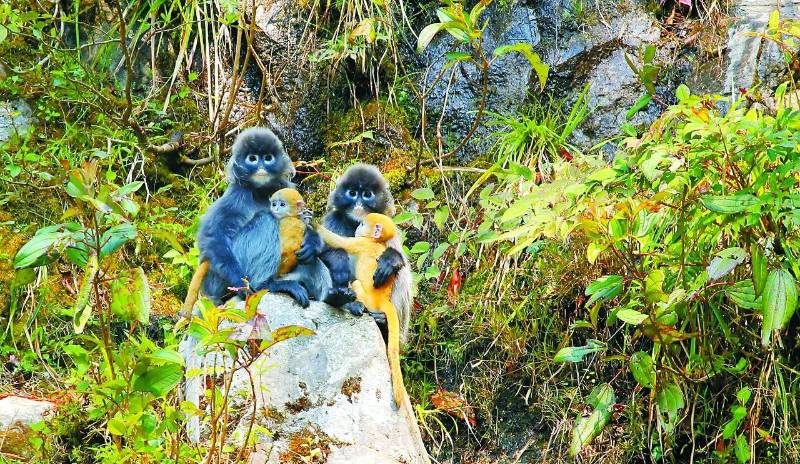 1768532289769174.jpg 48.jpg