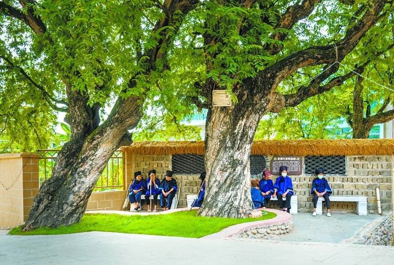 1768532527428851.jpg 51.jpg