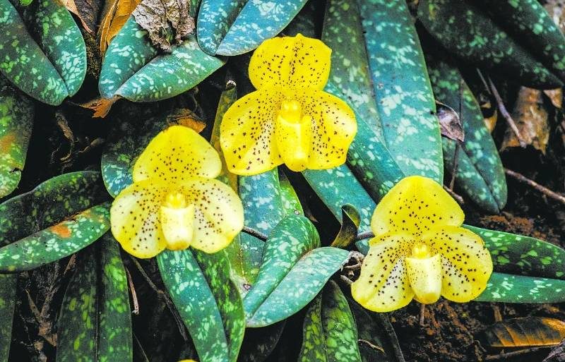 1768532552649185.jpg 52.jpg