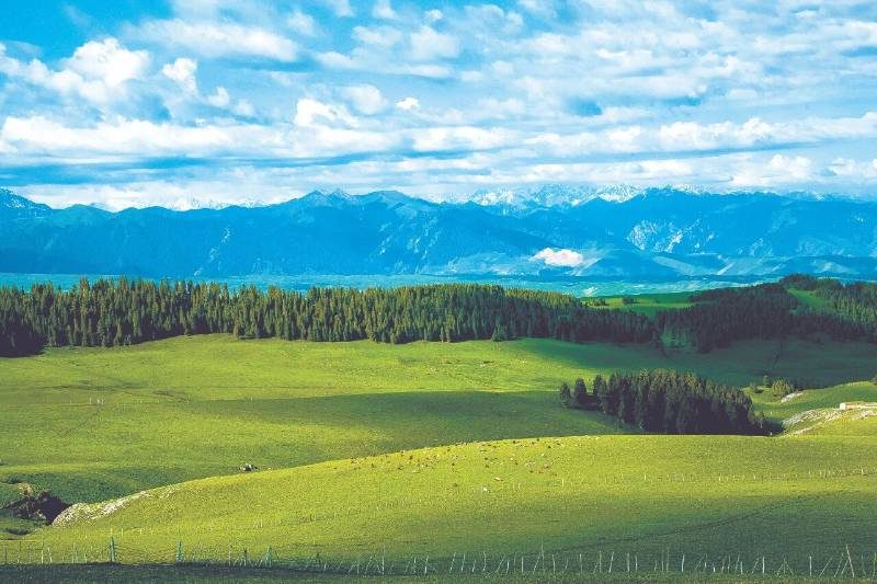 1768540288590595.jpg 63.jpg