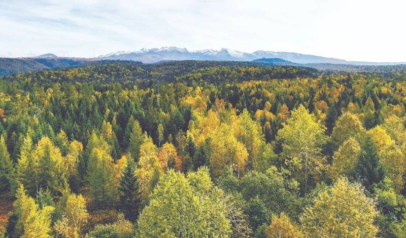 1768540472136130.jpg 65.jpg