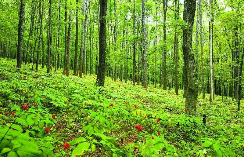 1768540536756512.jpg 68.jpg