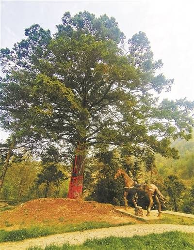 67161769394827617 (1).jpg