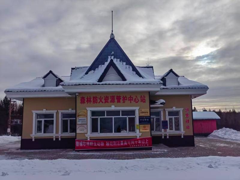 1769577576497815.jpg 3.jpg