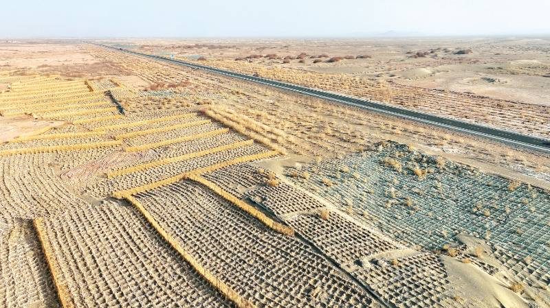 1769651939906834.jpg 3 (1).jpg