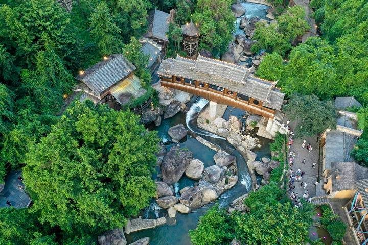 1770000299420467.jpg 2.jpg