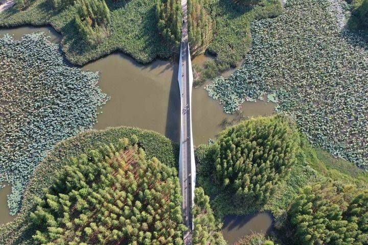 1770000536205379.jpg 9.jpg