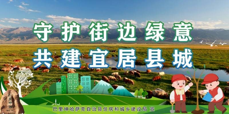 1770357472815747.jpg 2 (1).jpg