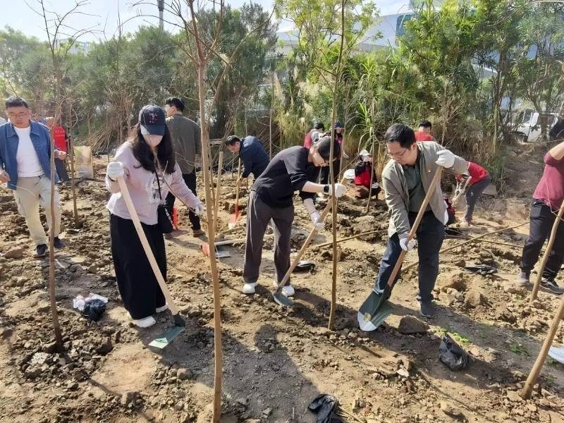 1770789960361194.jpg 2 (1).jpg