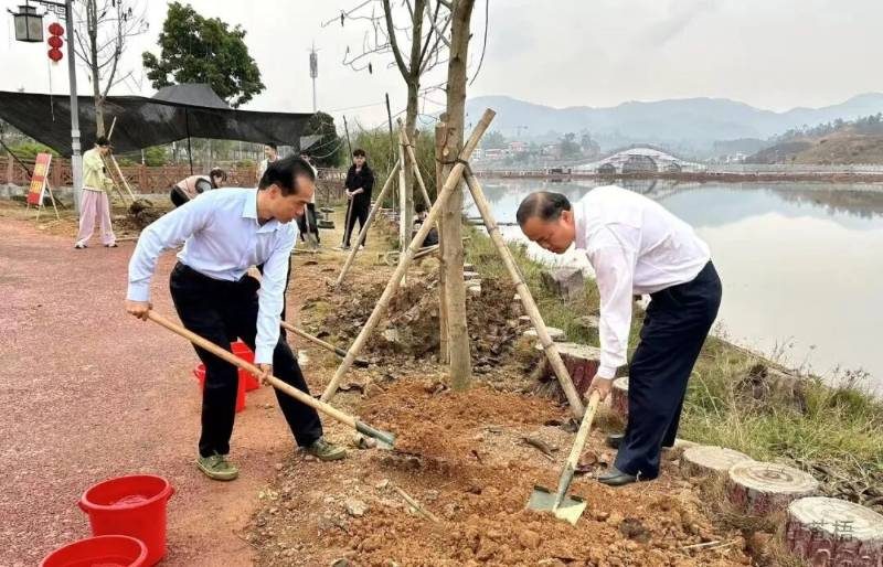 1771989068655629.jpg 4.jpg