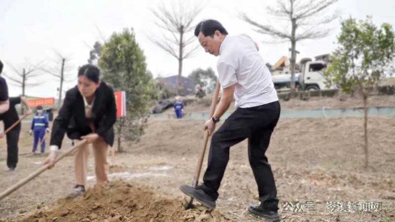 1771990858342925.jpg 1.jpg