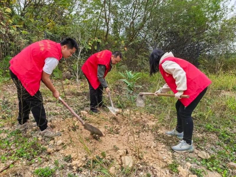 1772070087321715.jpg 2.jpg