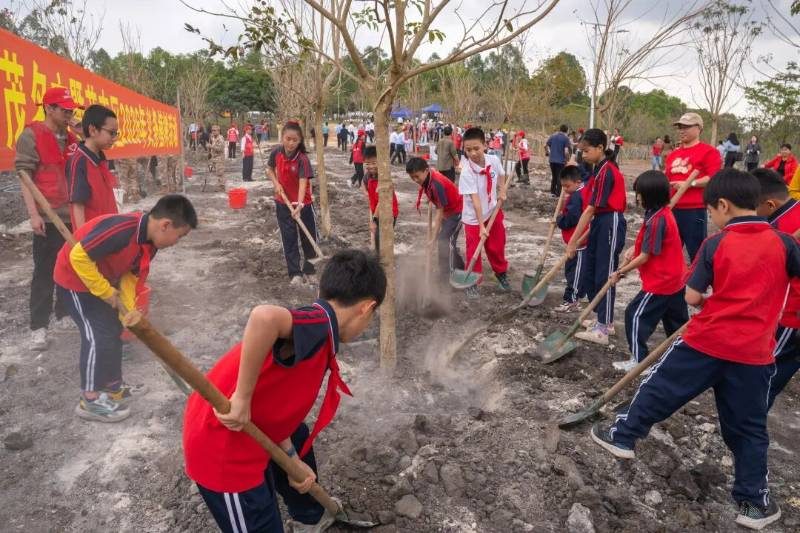 1772070109516647.jpg 4.jpg