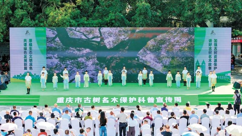 1772073439245704.jpg 1 (1).jpg